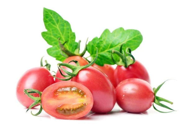 Tomatenpflanzen - Kirschtomate - Himbeergeschmack Sweet - SetzlingeOnline