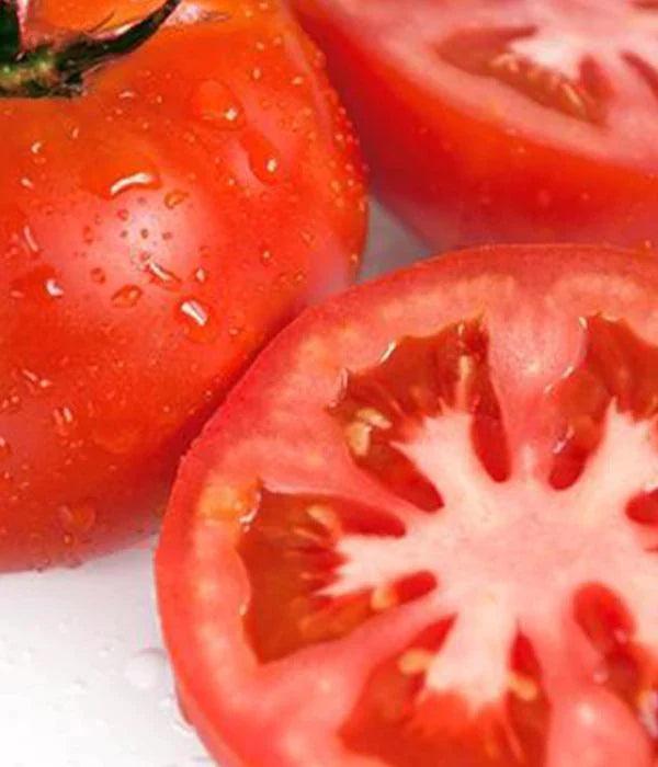 Tomatenpflanzen - Rote Tomaten - Baron - SetzlingeOnline