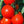 Laden Sie das Bild in den Galerie-Viewer, Tomatenpflanzen - Rote Tomaten - Betalux - SetzlingeOnline
