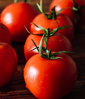 Tomatenpflanzen - Rote Tomaten - Krakus - SetzlingeOnline