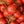 Laden Sie das Bild in den Galerie-Viewer, Tomatensetzlinge - Rote Tomaten - Betalux - SetzlingeOnline
